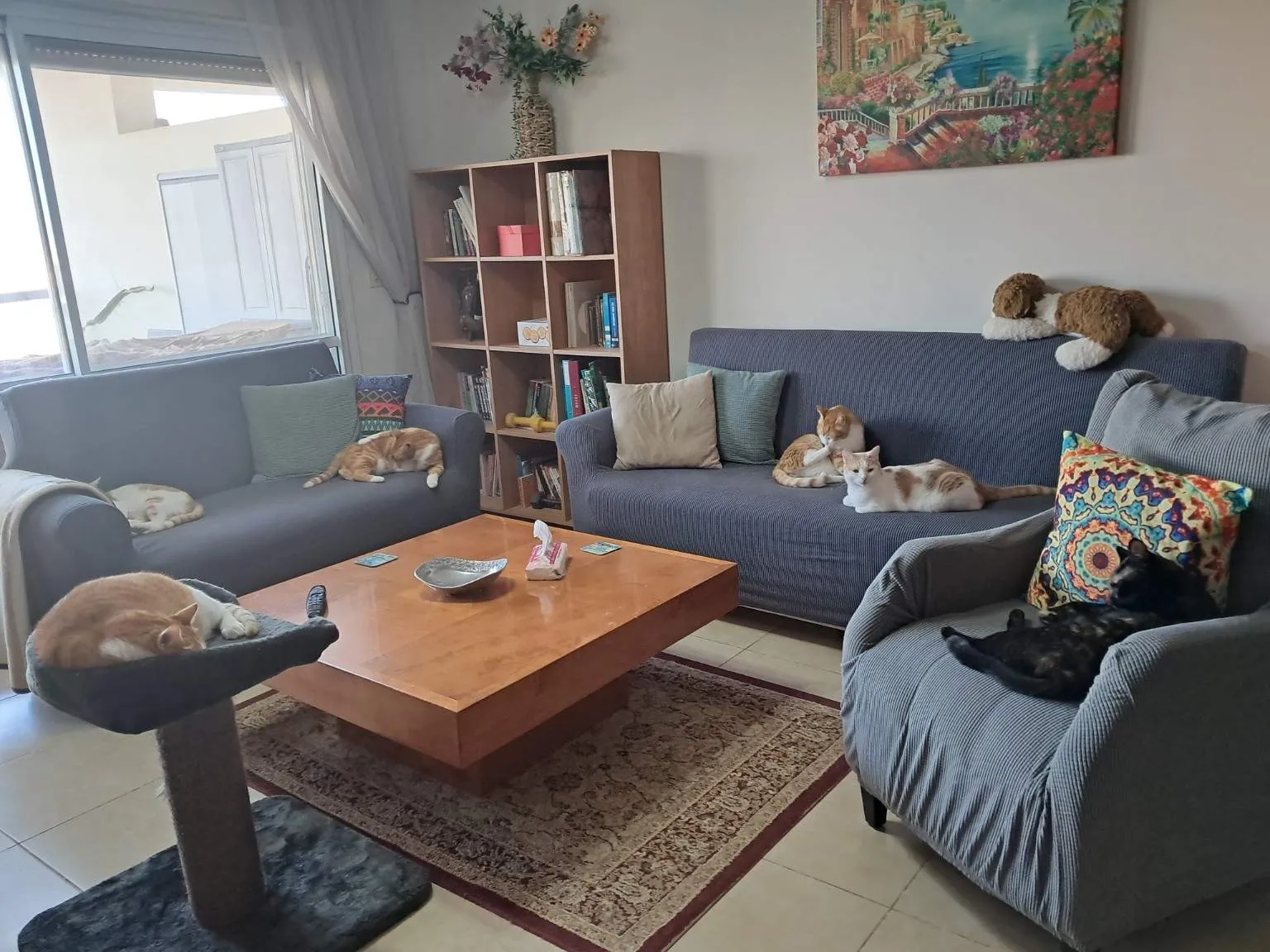 שולחן סלון תמונה 1