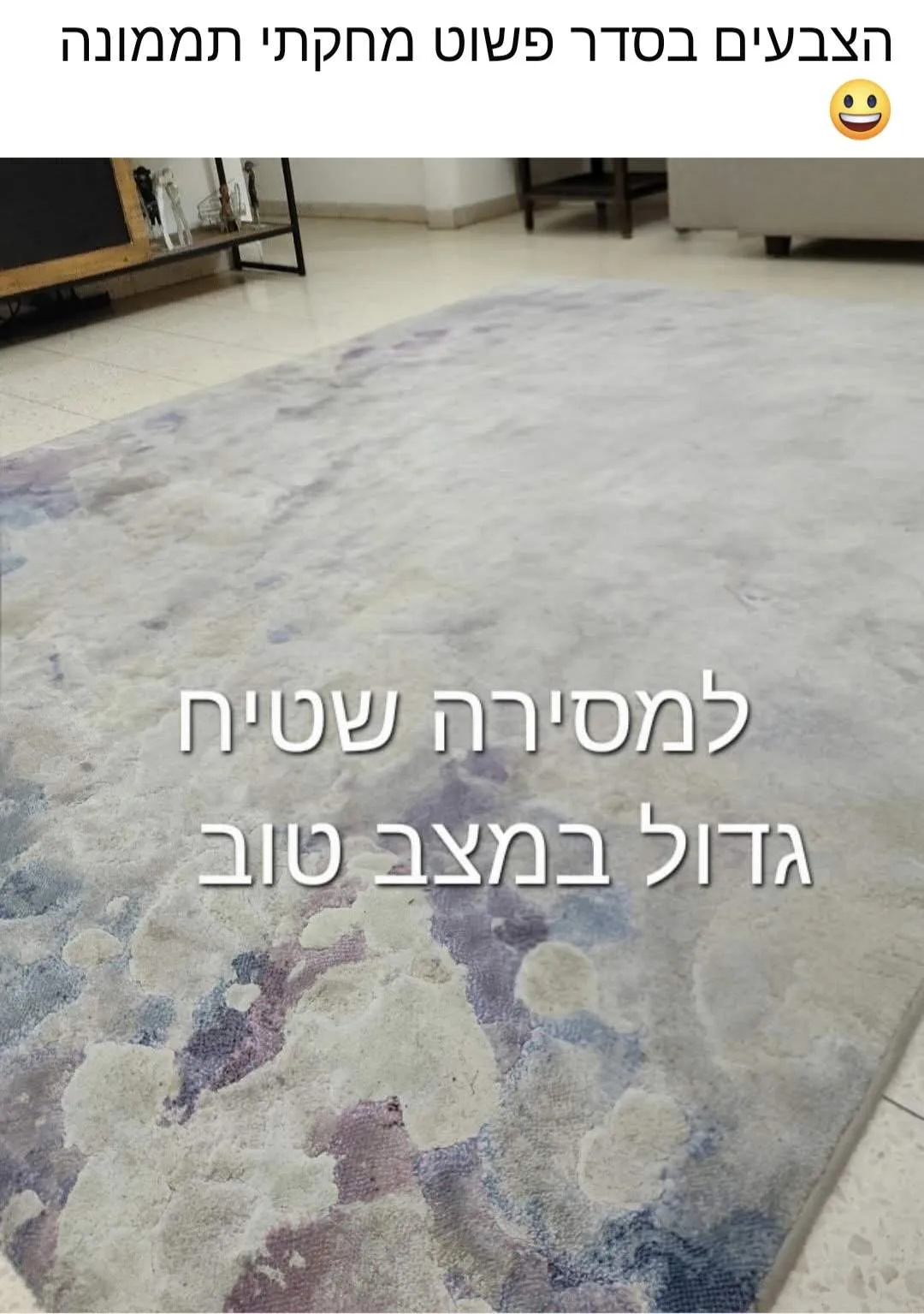 שטיח סלון תמונה 1